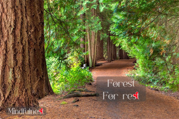 Forest = For rest
